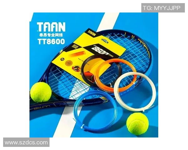 网球运动中的技术演进与战术创新：从基础打法到现代网球全景解析