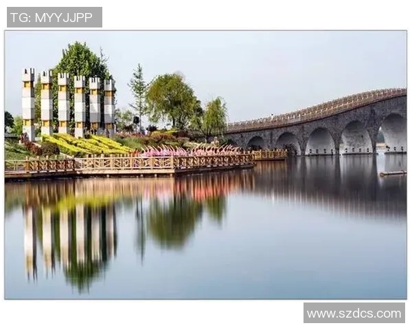 连云港战队奋力拼搏 聚焦新时代体育发展与团队协作精神